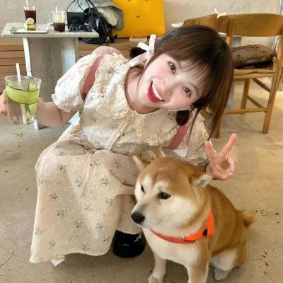 间谍兔洞第一季